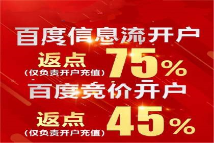 充值返点机制在社交平台的应用案例